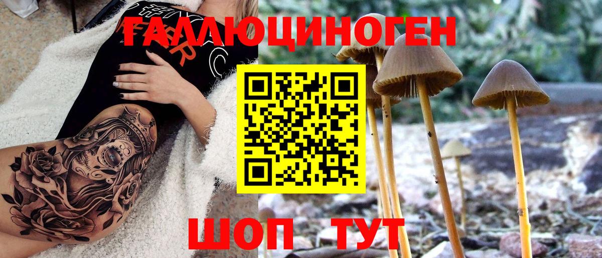 Галлюциногенные грибы мухоморы Апрелевка