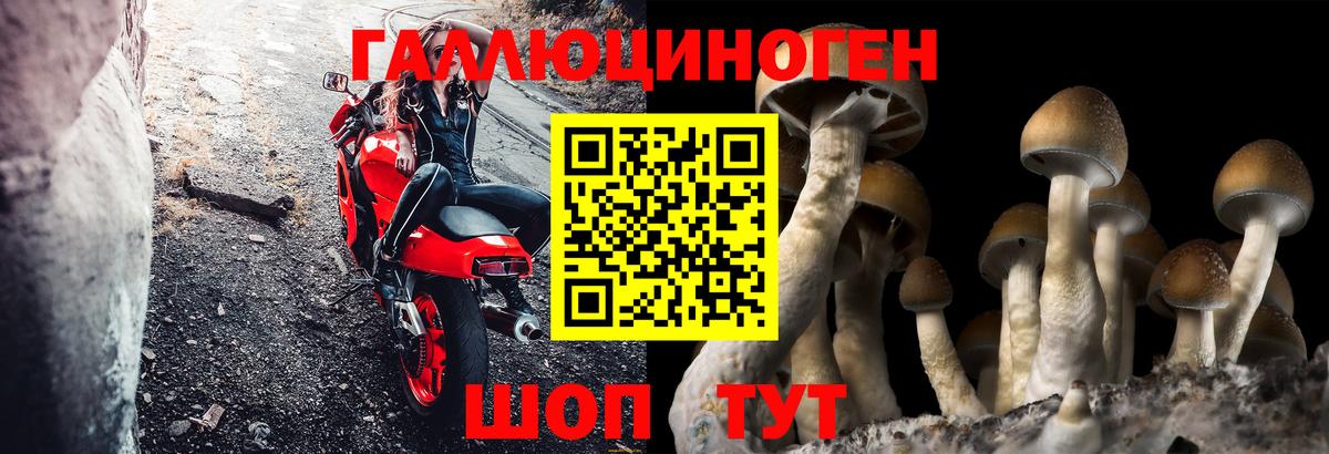 Галлюциногенные грибы GOLDEN TEACHER  Вход с VPN  Псилоцибиновые грибы Psilocybine cubensis  Апрелевка 